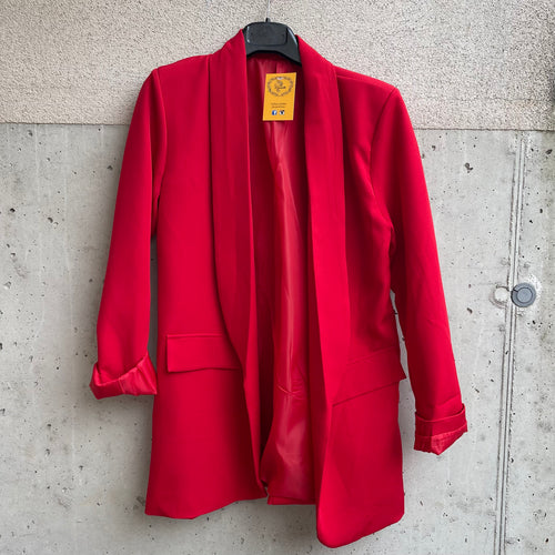 blazer BASIC